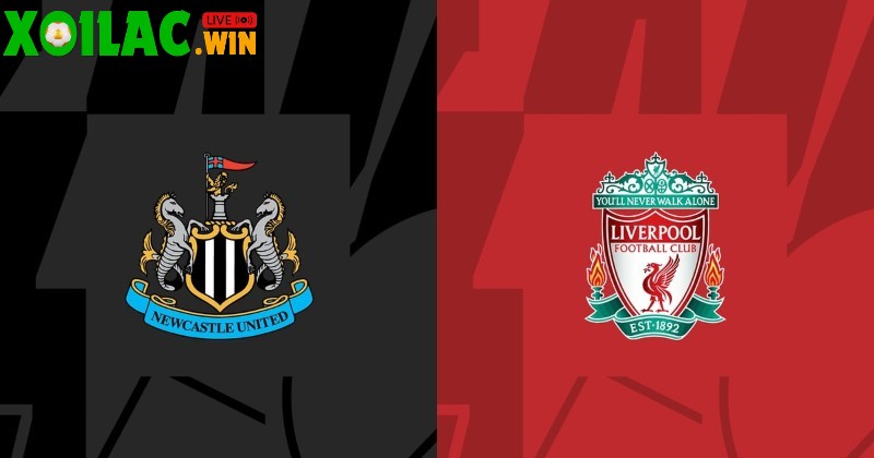 Soi kèo Newcastle vs Liverpool - 2h00 ngày 26/8 - Ngoại hạng Anh