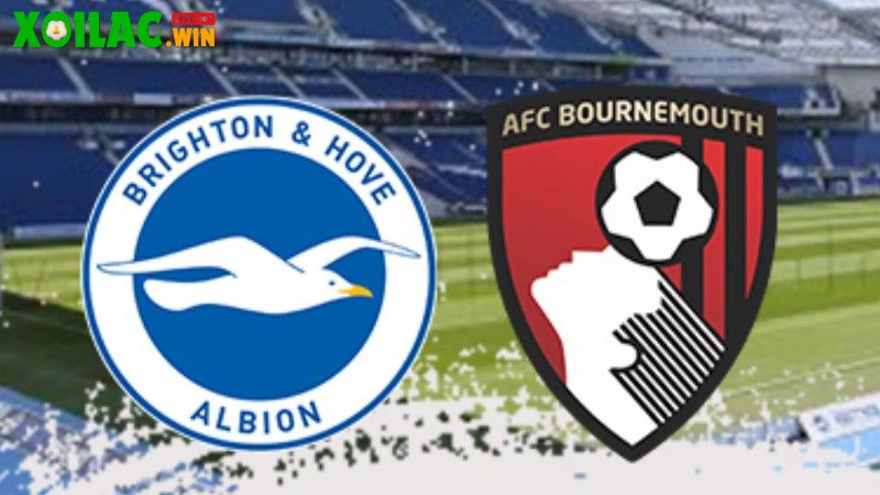 Soi kèo Brighton vs Bournemouth - 3h00 ngày 20/01 - Ngoại hạng Anh