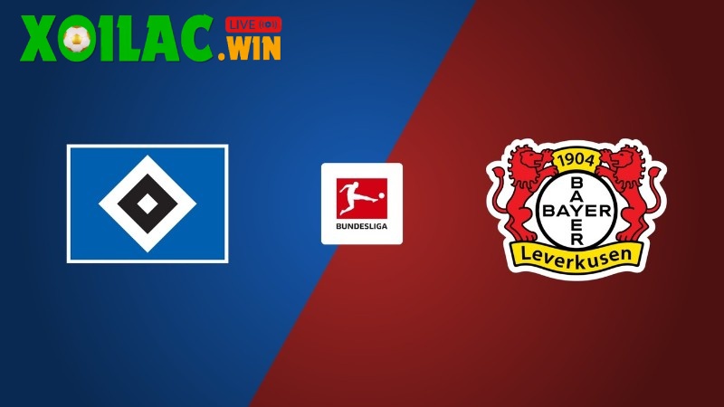 Soi kèo Hamburger SV vs Bayer Leverkusen - 2h30 ngày 14/01 - Bundesliga