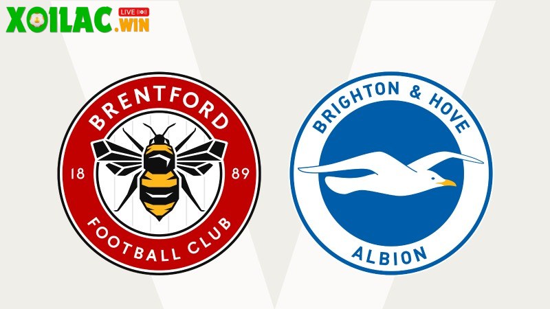 Soi kèo Brentford vs Brighton - 22h00 ngày 21/02 - Ngoại hạng Anh