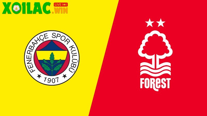 Soi kèo Fenerbahce vs Nottingham - 0h45 ngày 20/02 - Europa League